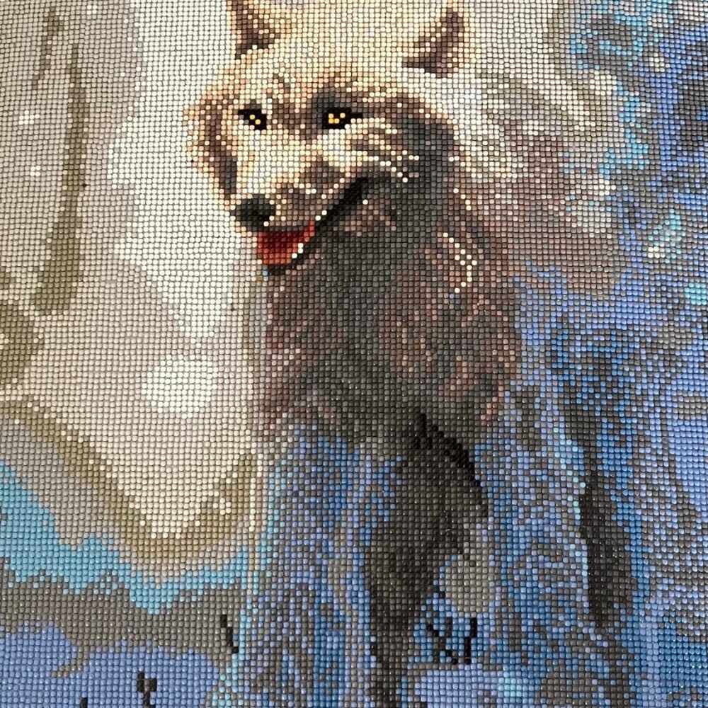 Snow wolf (diamond art )